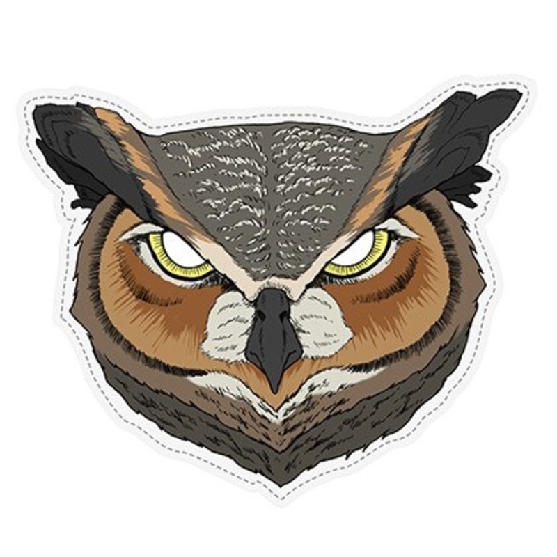 Paper mask eagle owl with elastic band