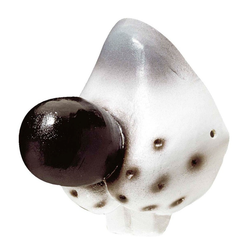 Dogs mice animal nose