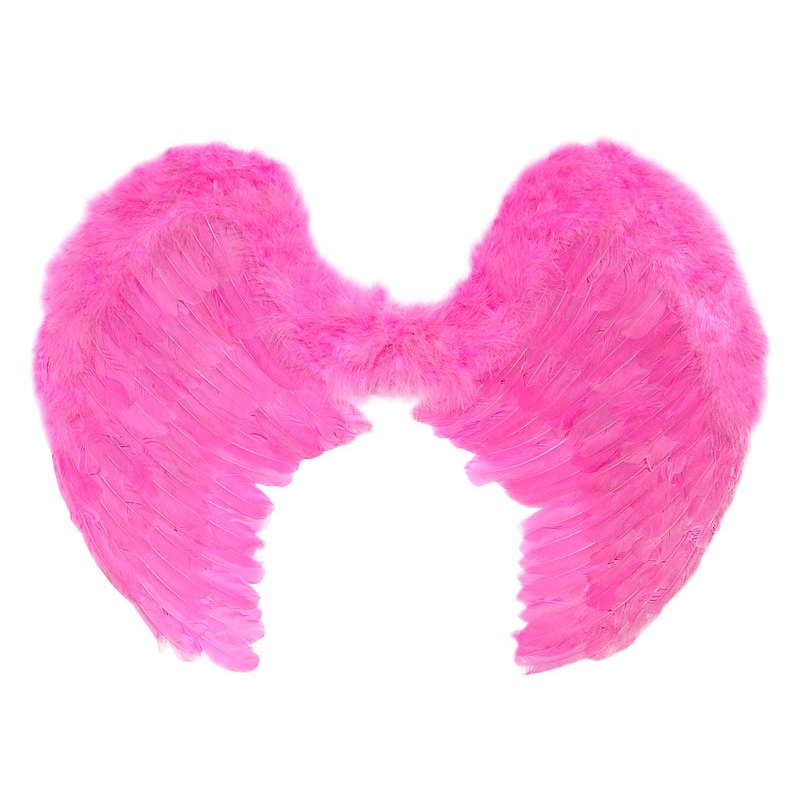 Pink angel wings Elisa 80 x 60cm