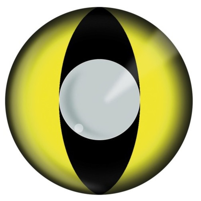 Contact lenses cat with white pupil