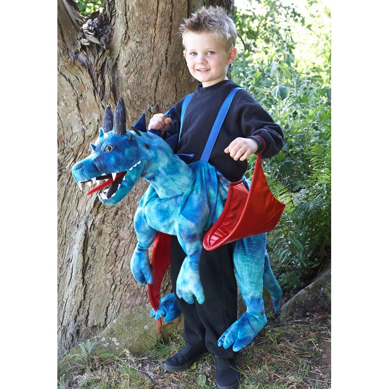 Blue dragon rider children's costume