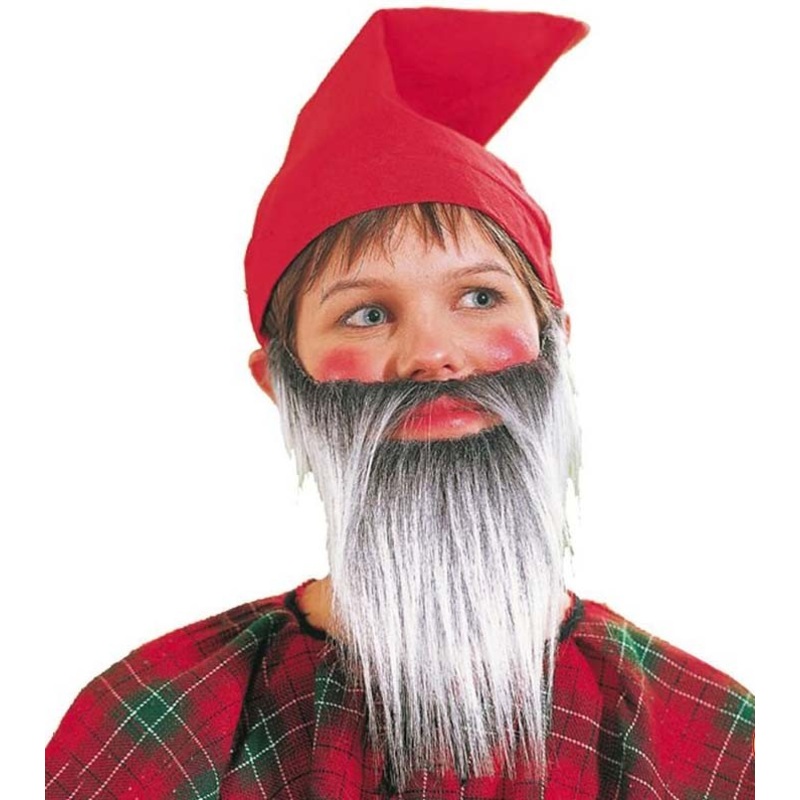 Dwarf Beard for Kids