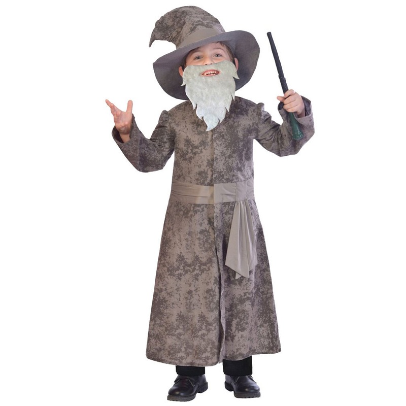 Wisdom Wizard Child Costume