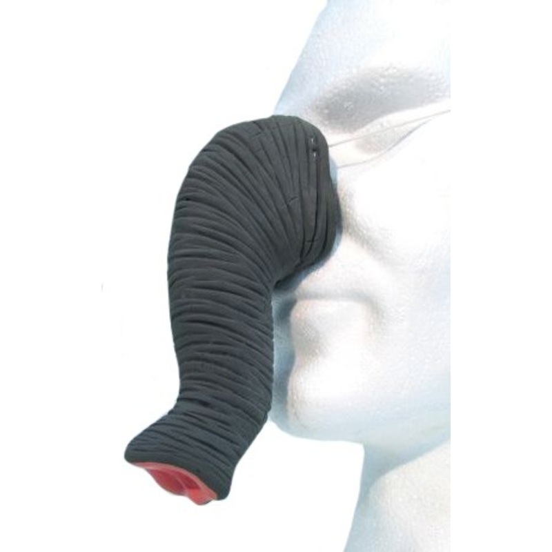Gray elephant trunk
