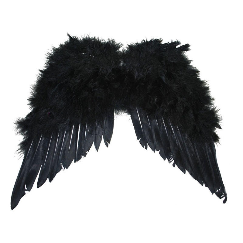 Feather wings black angel
