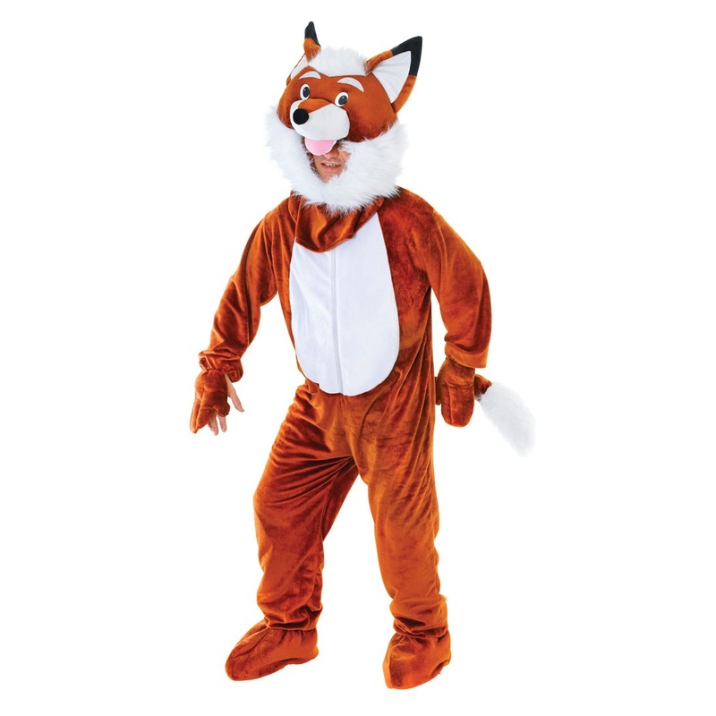 Cunning red fox overall