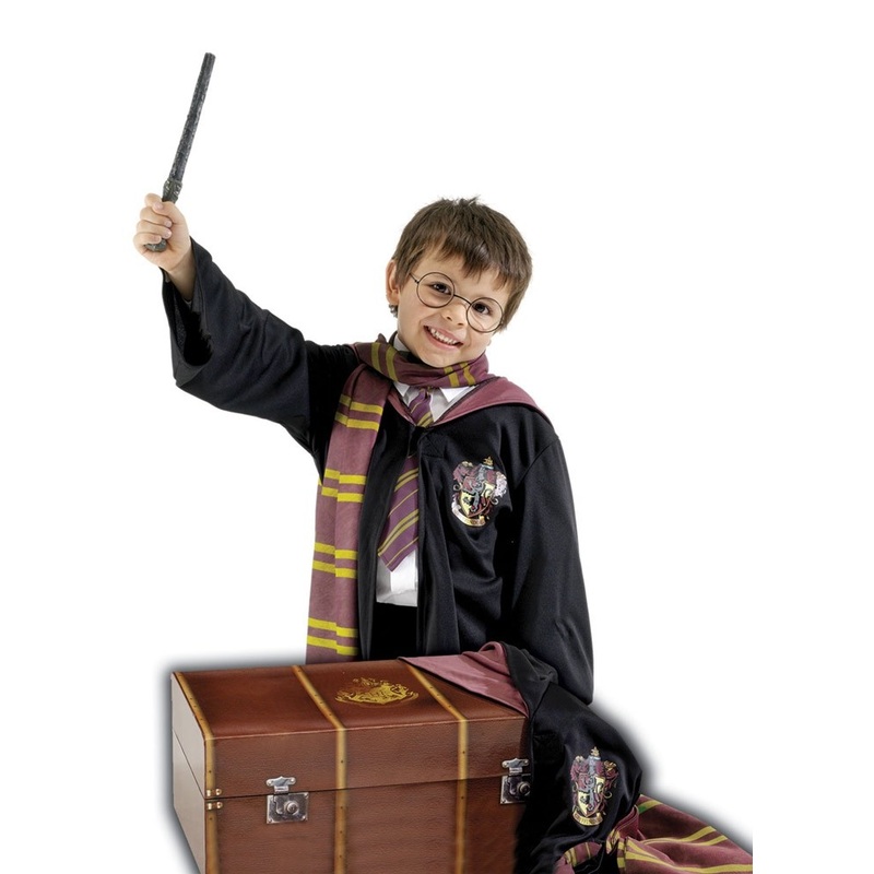Harry Potter disguise set for children