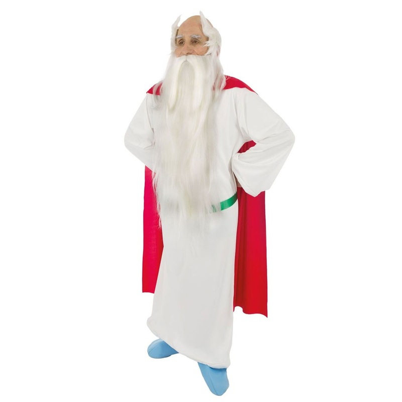 Druid Miraculix costume M
