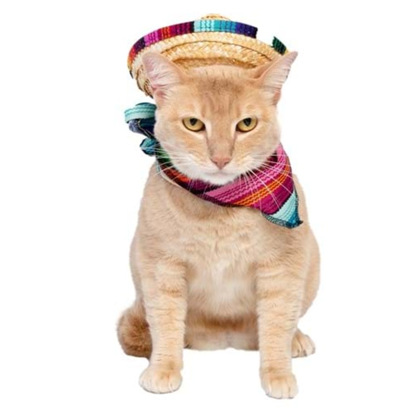 Bandana & Sombrero Pet Costume Set ST