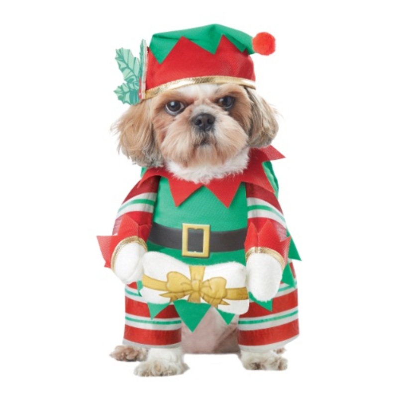 Elf Pup Costume for Dogs Small