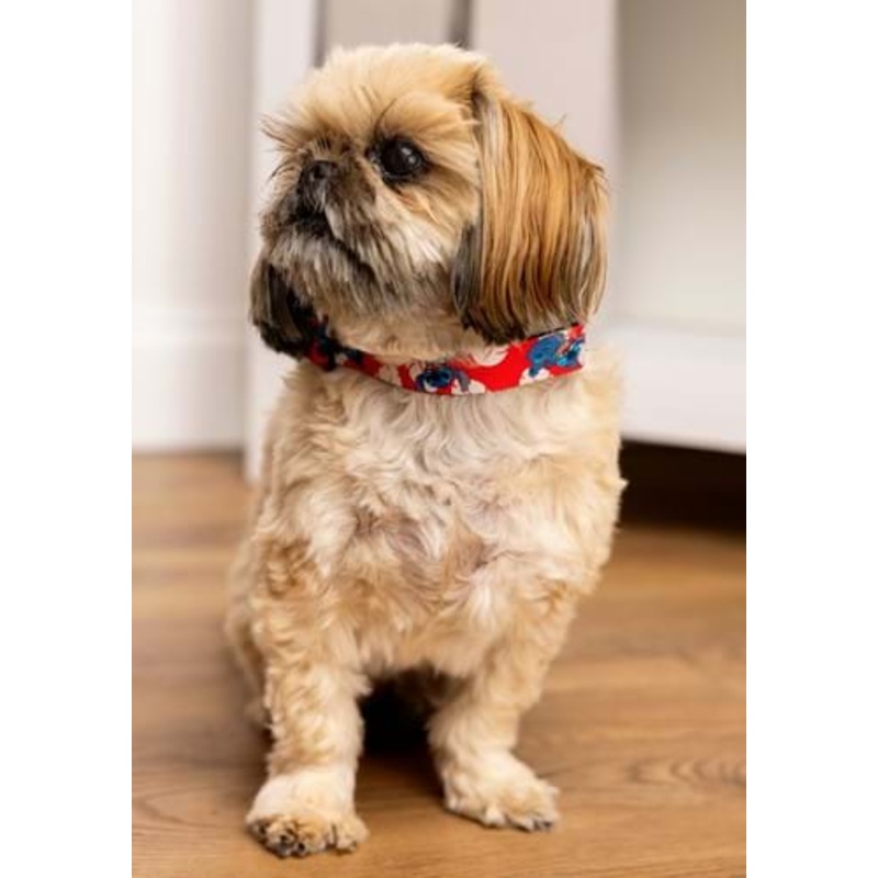 Lilo and Stitch Plastic Buckle Collar for Pets L