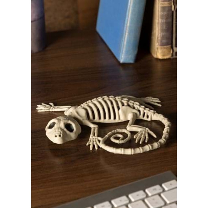 7" Gecko Skeleton Prop Standard