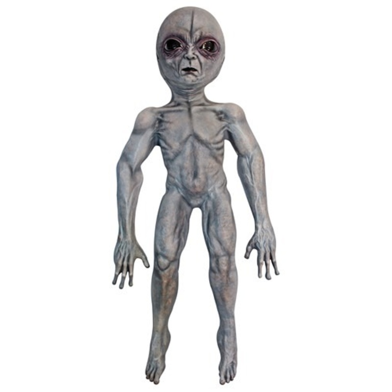 Alien Area 51 Halloween Prop Standard