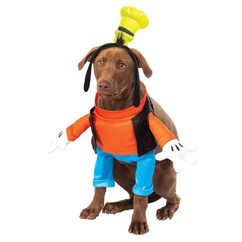 Goofy Dog Costume Small