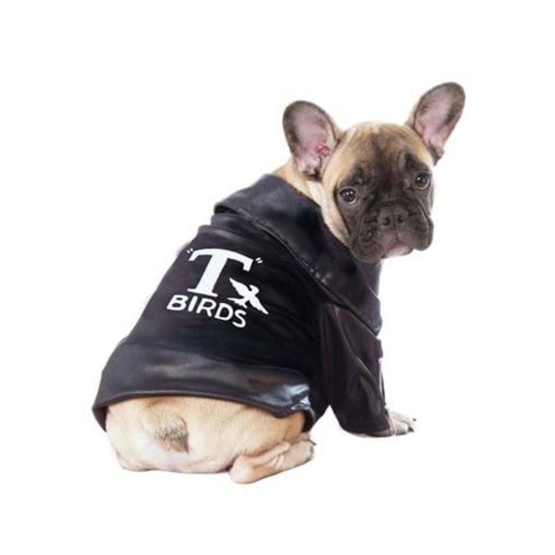 Grease Pet T-Birds Jacket Costume Small