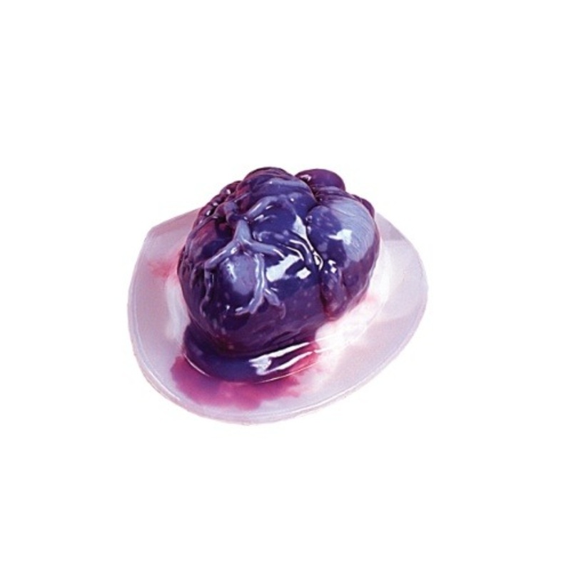 Heart Gelatin Mold  Standard
