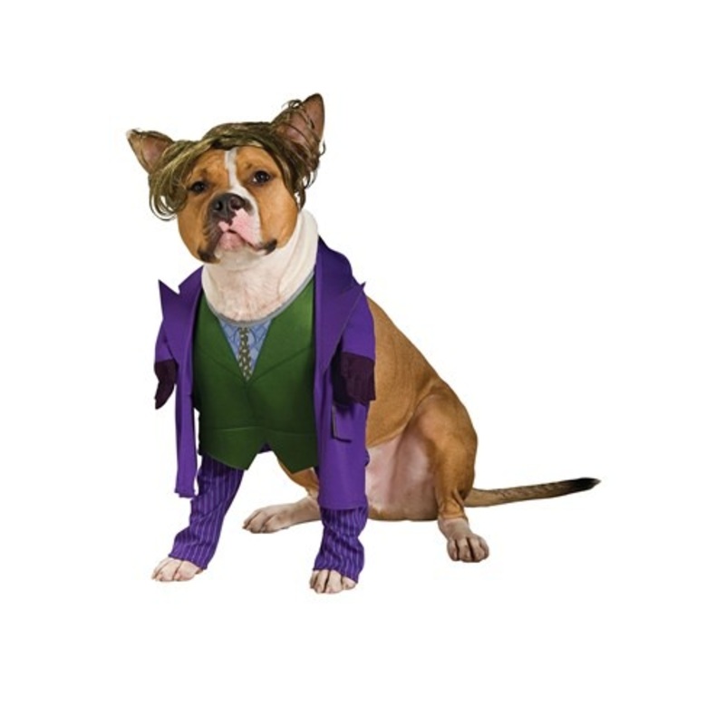 Joker Dog Costume Medium