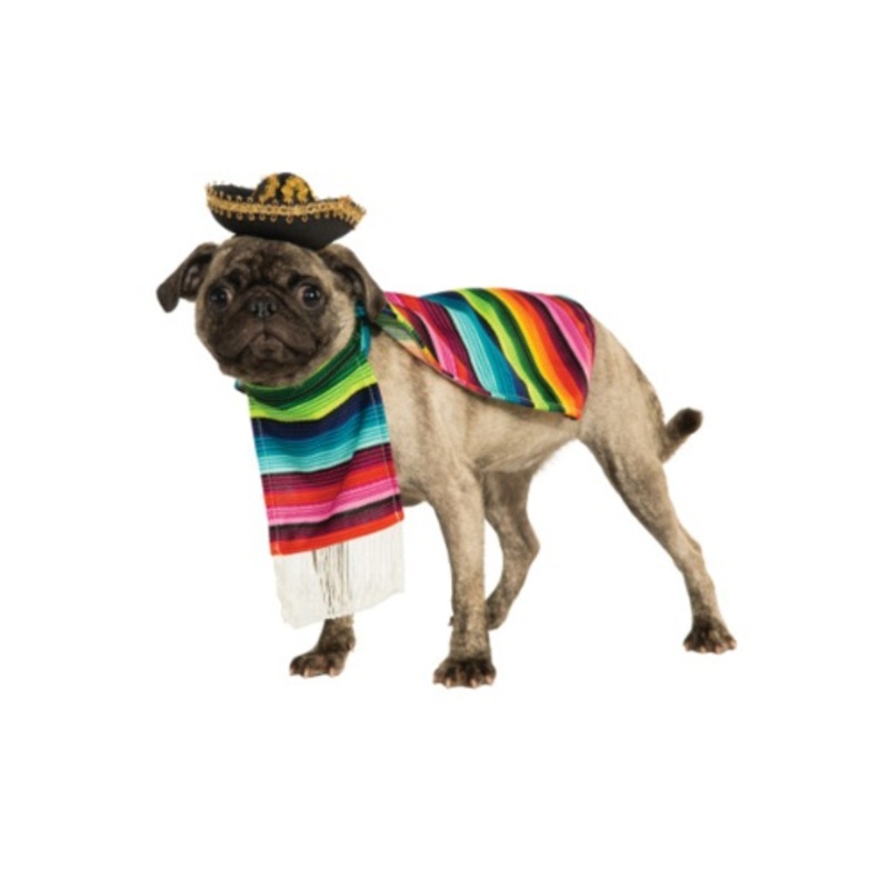 Mexican Serape Costume for Pets Small