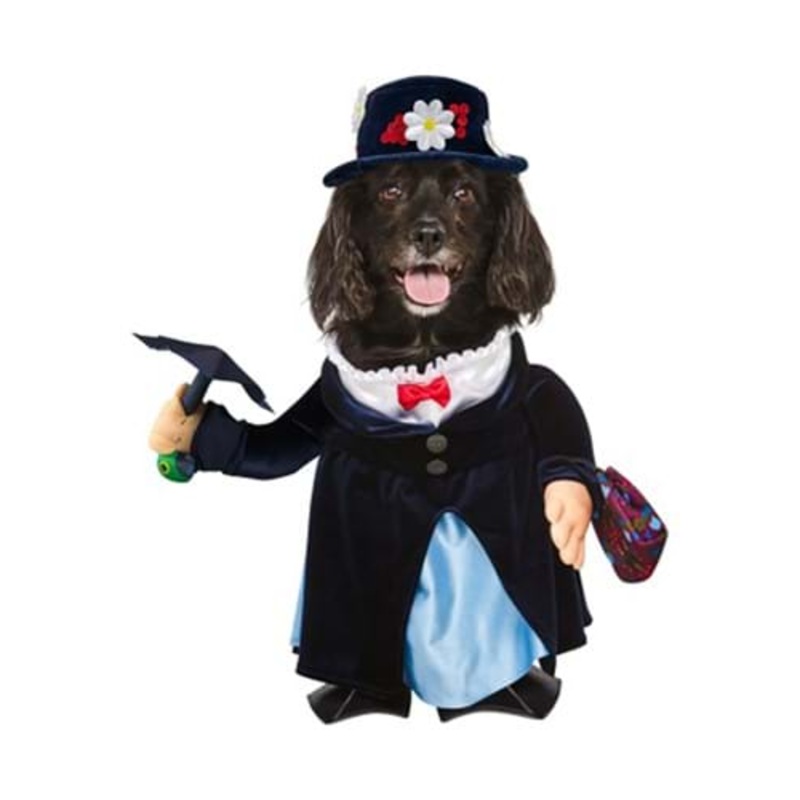 Pet Costume of Mary Poppins S