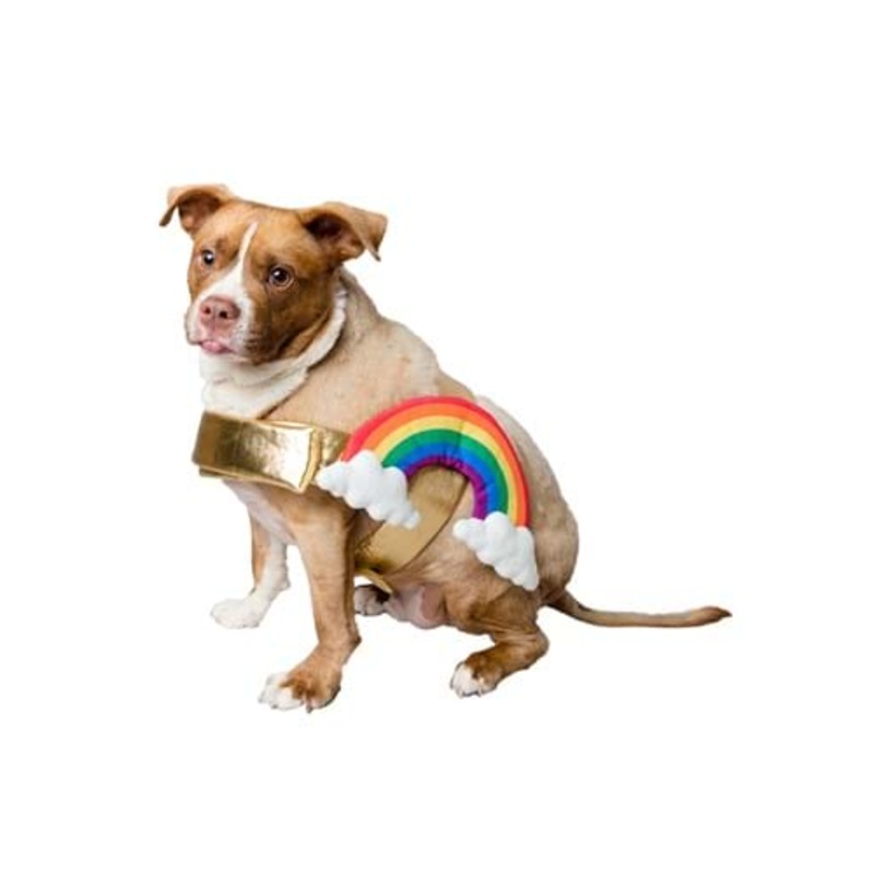 Rainbow Costume for Pets L