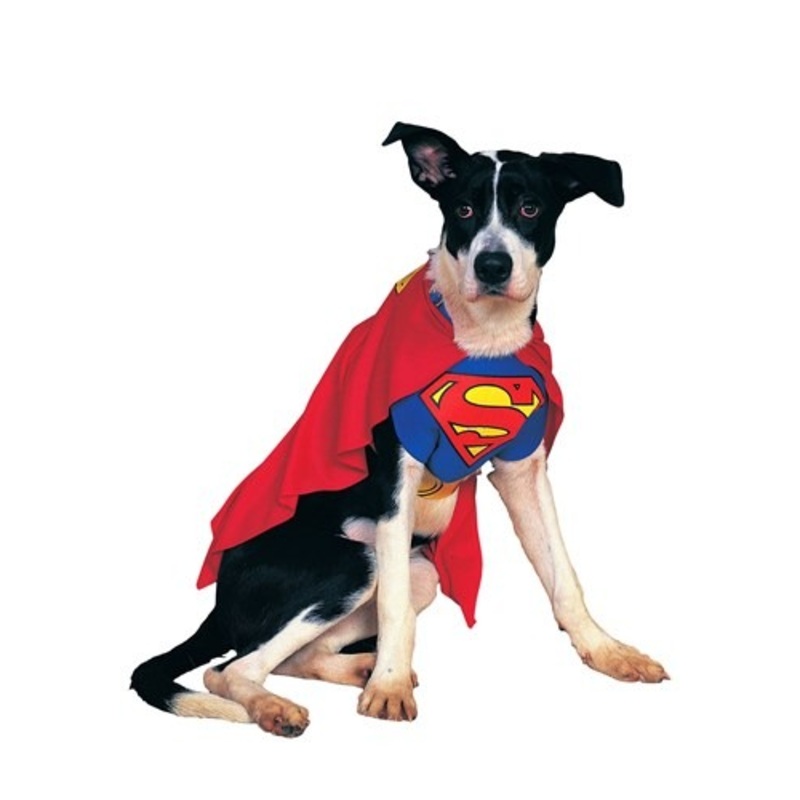 Superman Dog Halloween Costume Small