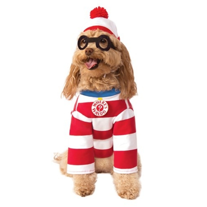 Where's Waldo Striped Pet Costume Small