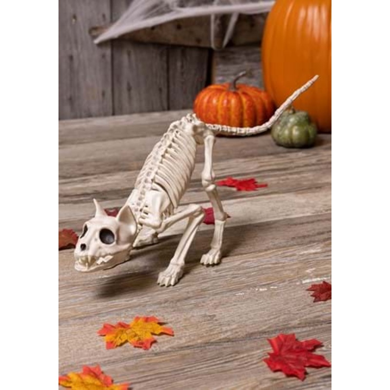 11 Inch Lil' Kitty Skeleton Decoration Standard