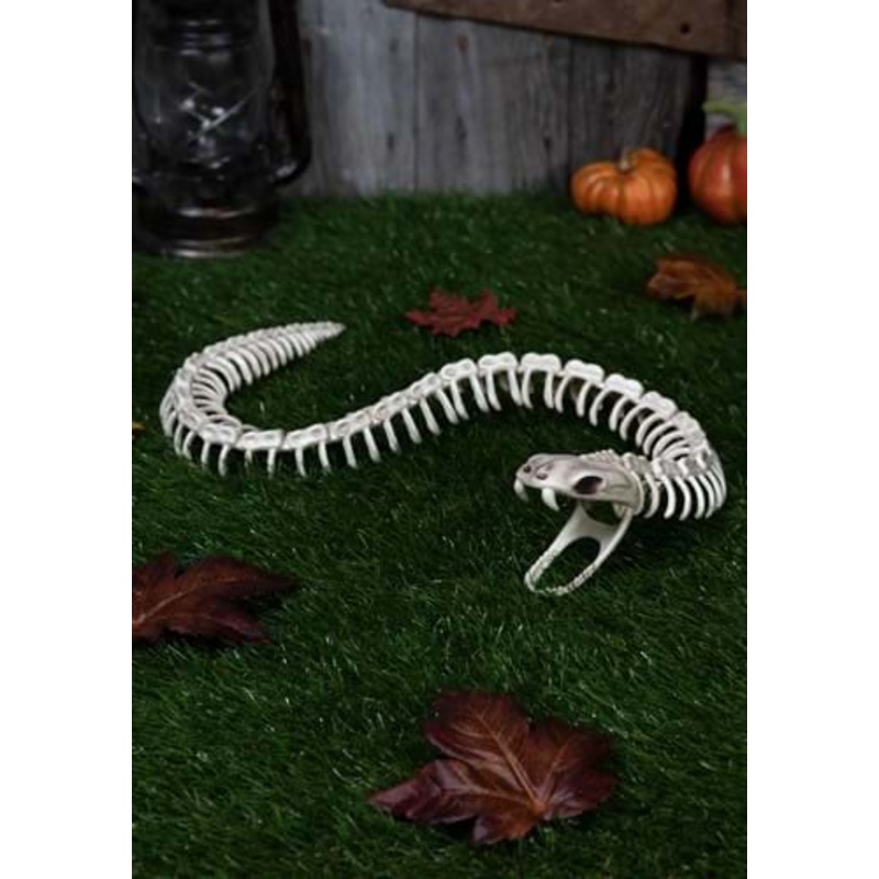 36" Snake Skeleton Halloween Decoration Standard