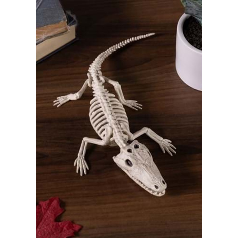 Baby Alligator Skeleton Decoration Standard