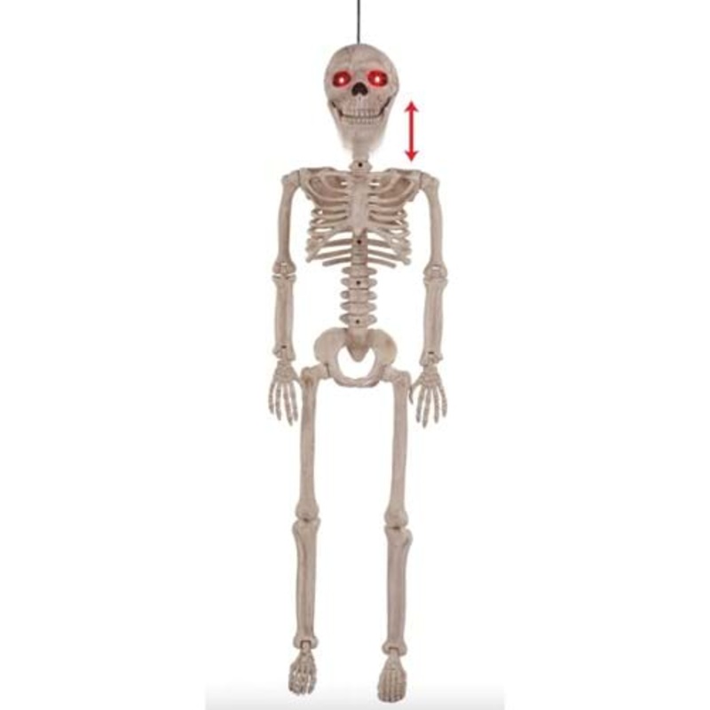 Crazy Bones Junior Skeleton  Standard
