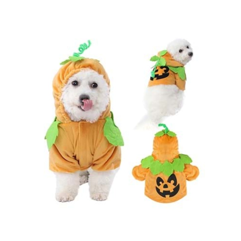 Pet Pumpkin Costume M