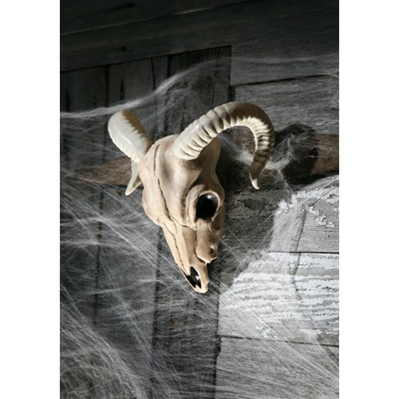 Plastic Prop Ram Skull Standard