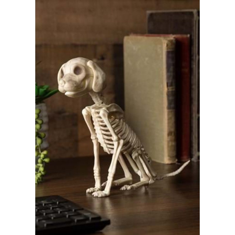 Sitting 7.5 Inch Puppy Skeleton Decoration Standard