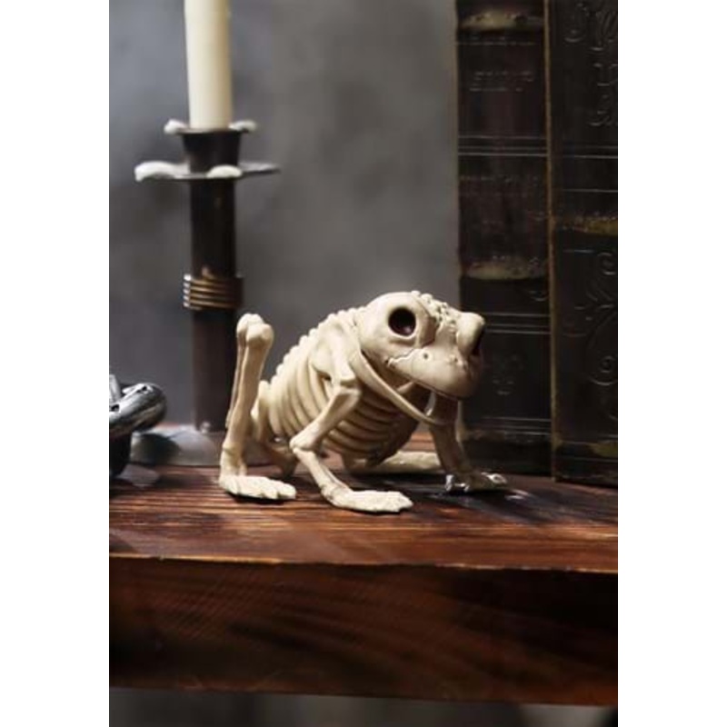 Skeleton Frog Decoration Standard