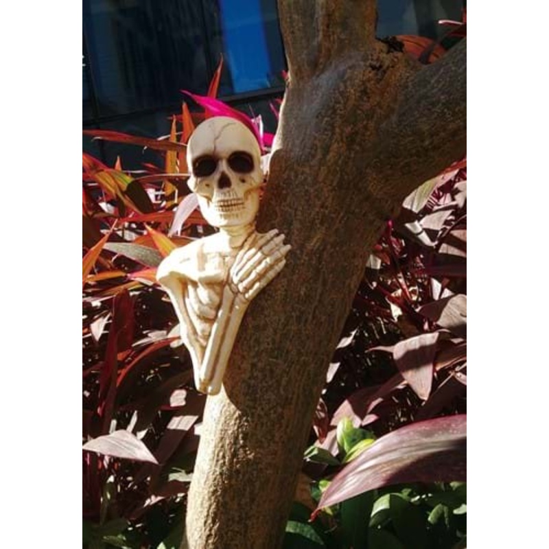 14" Skeleton Tree Peeker Halloween Decoration Standard