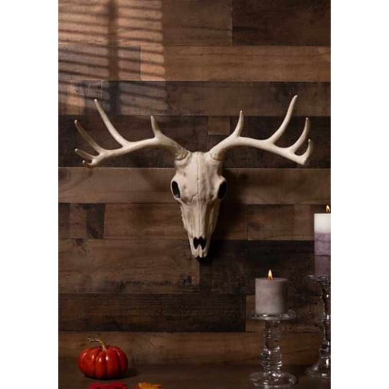 21-Inch Buck Skull Decoration Standard