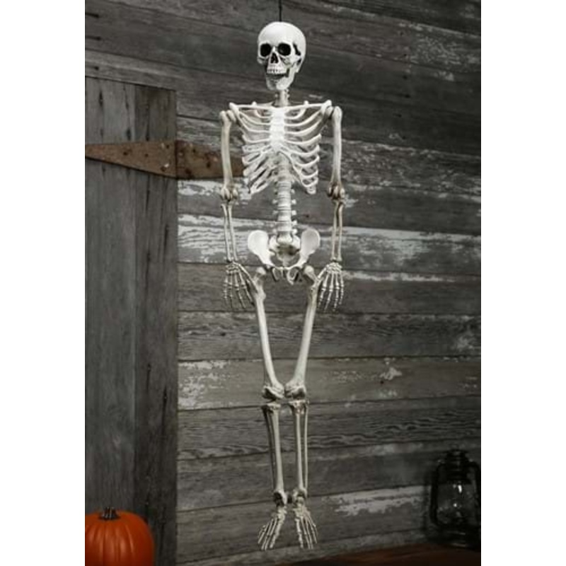 36-Inch Plastic Realistic Skeleton Halloween Decoration Standard