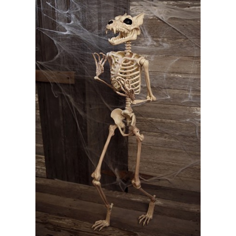 5.3FT Poseable Werewolf Skeleton Halloween Decoration Standard