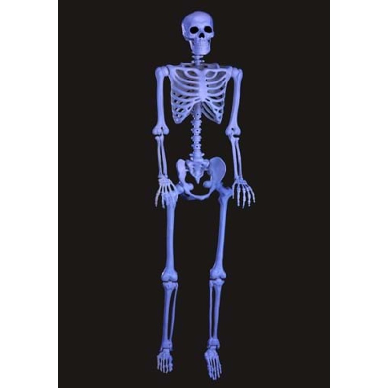 5FT Black Light Ghostly Skeleton Halloween Decoration Standard