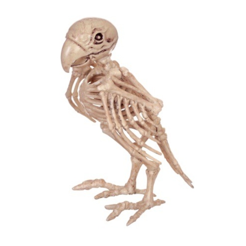 7.5-Inch Skeleton Parrot Decoration Standard