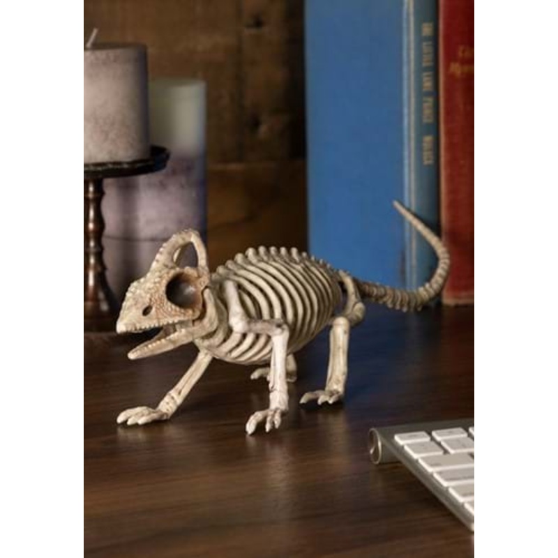 8-Inch Lizard Skeleton Halloween Prop Standard