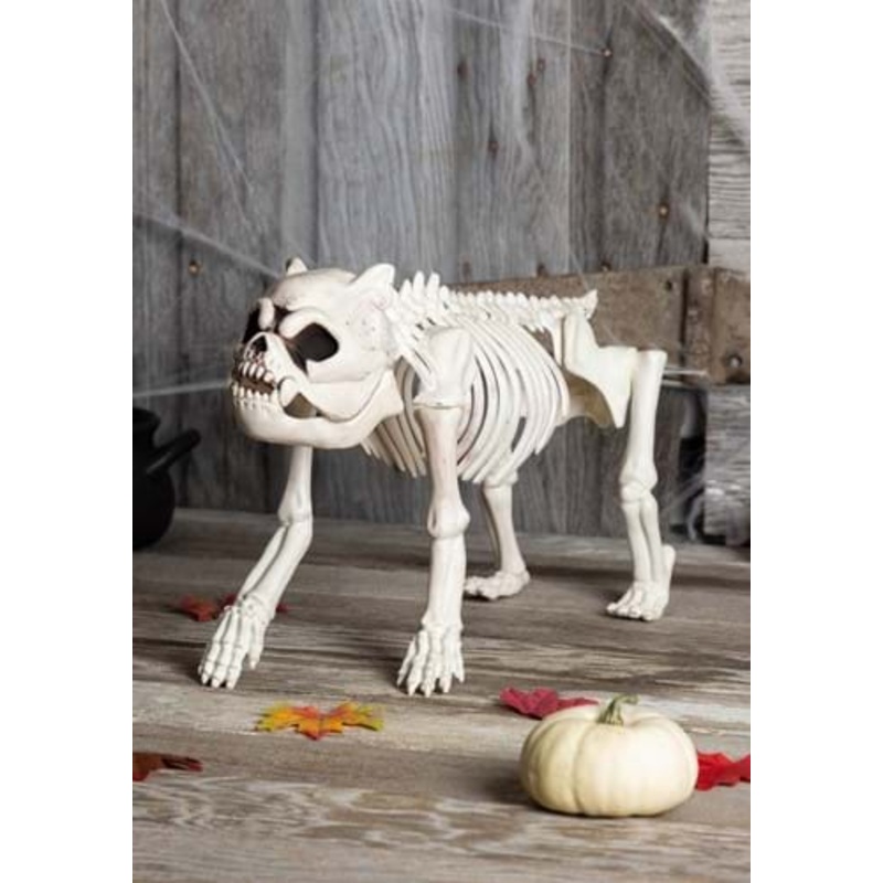 Bones the Hungry Hound Skeleton Dog Standard