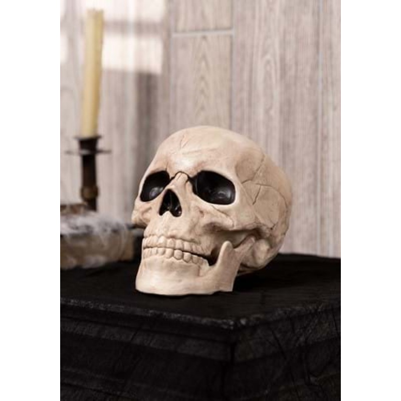 Glow in the Dark Skull Prop Standard