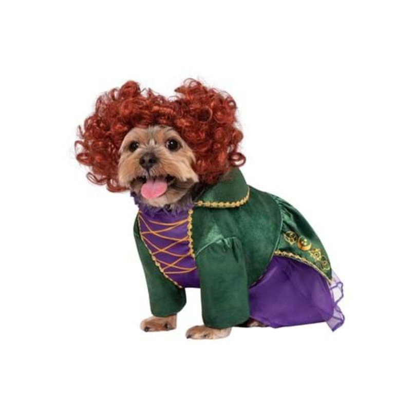 Hocus Pocus Winifred Sanderson Pet Costume Small
