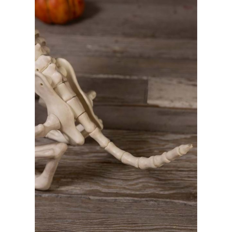 Howling Bonez 27 Inch  Animated Dog Skeleton Halloween Prop Standard