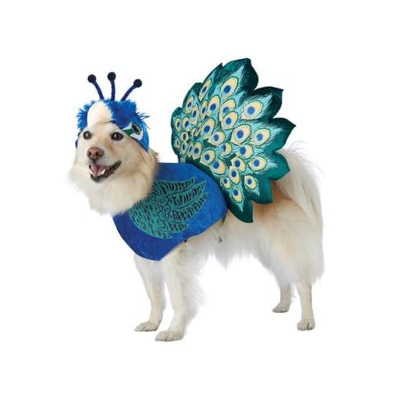 Pretty as a Peacock Dog Costume X-Small