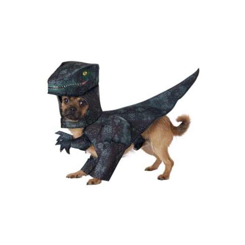 Pupasaurus Rex Pet Costume for Dogs X-Small - $29.99