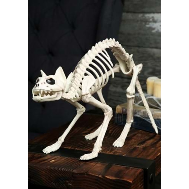 Skeleton Cat Bones Halloween Prop Standard