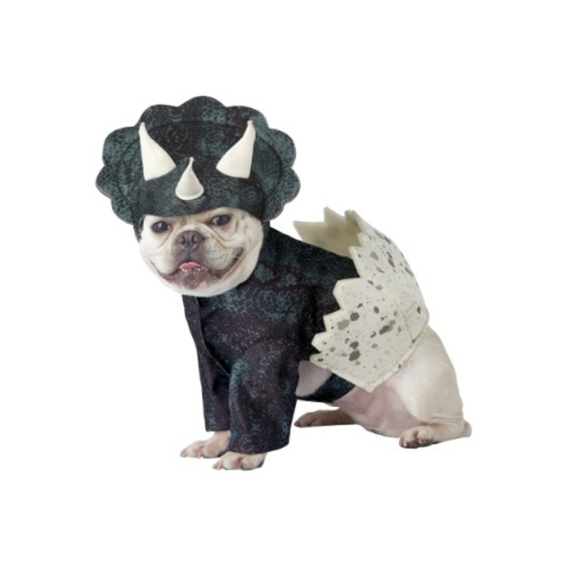 Stegosaurus Dino Pup Pet Costume Small