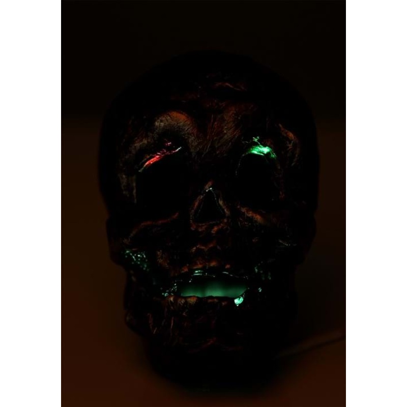 Skull with Color Changing LED Lights Decoration